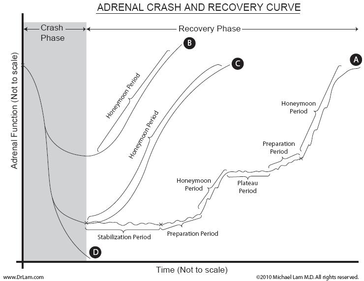 A graph representing an adrenal fatigue crash and inability to recover due to toxic and paradoxical reactions