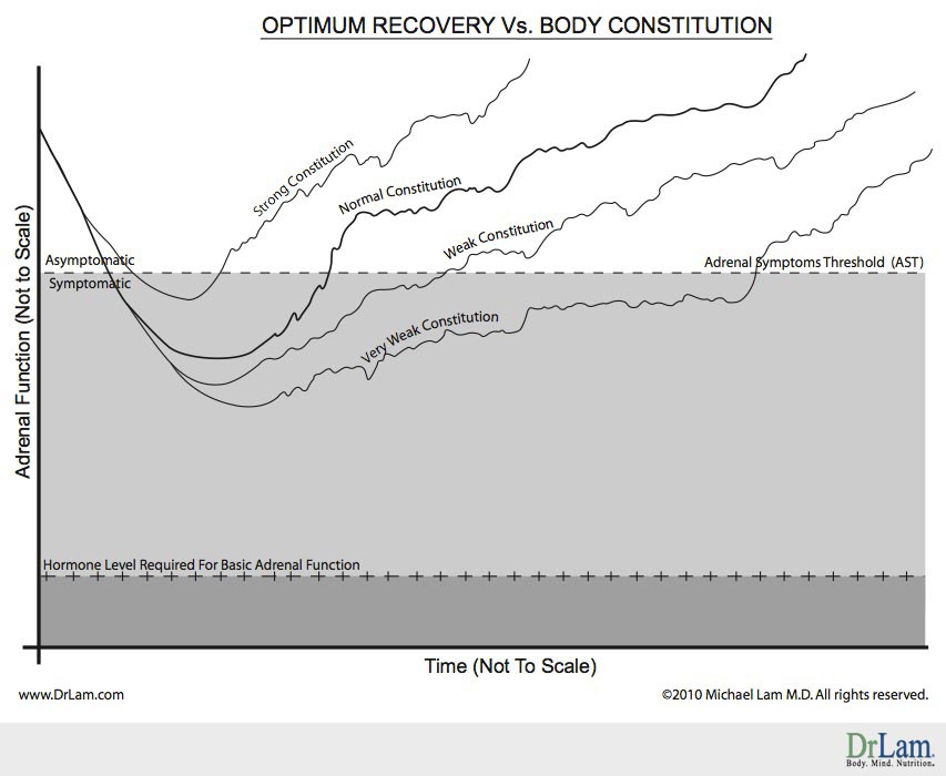 Adrenal Fatigue recovery pattern graph of optimum recovery vs body constitution