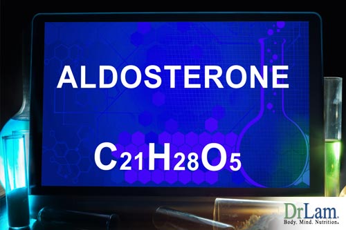 Aldosterone hormone in relation to homeostatic regulation