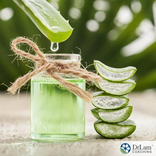 An image of aloe vera juice dripping into a jar next to a stack of sliced aloe vera