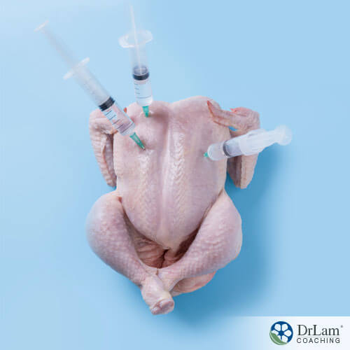 An image of antibiotics being injected into a chicken