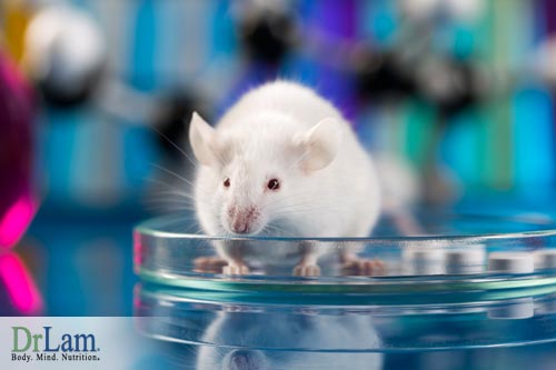 Studies on mice have demonstrated the power of a Longevity Diet to slow aging