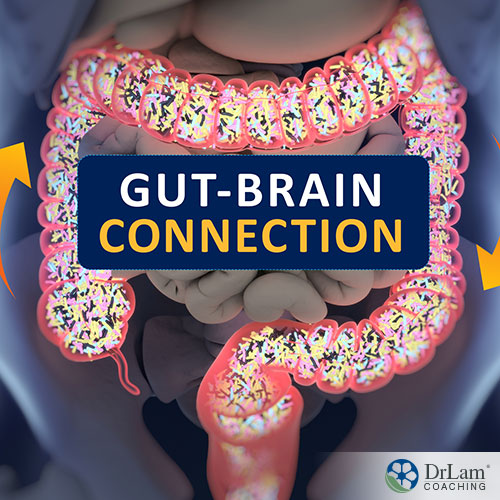 An image of the human large intestine showing microbiome and text saying gut-brain connection