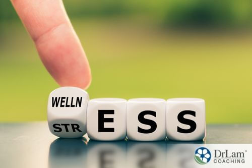 An image of word blocks spelling stress and switching over to wellness