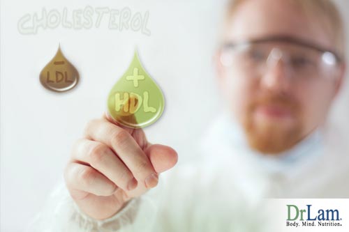 How do bad and good cholesterol differentiate