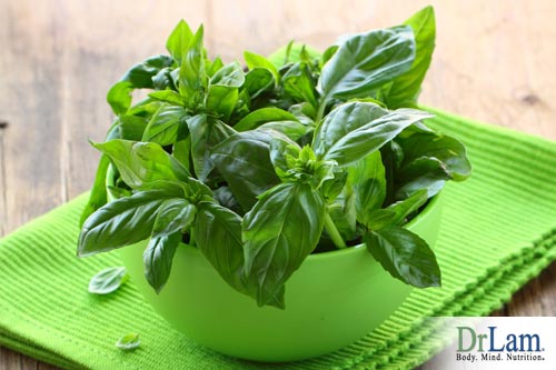 Basil and the immune system in cancer prevention