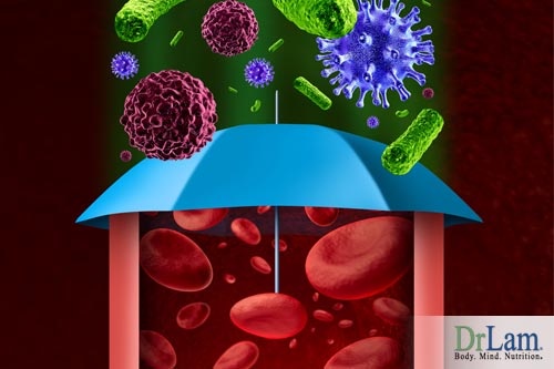 A stylized image of pathogens raining down, but bouncing off an umbrella that represents the immune benefits of ashwagandha. Red blood cells are protected beneath the umbrella representing the body's internal well being.