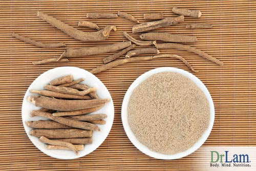 Dried and cut as well as groud ashwagandha laid out in bowls and on a bamboo mat, ready to use for the health benefits of ashwagandha