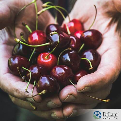An image of hands holding sweet cherries