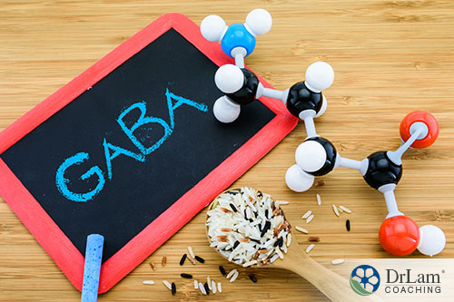 An image of a chalkboard with GABA on it with a spoonful of rice and plastic GABA molecule