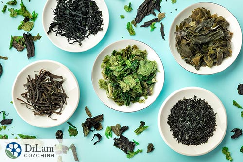 An image of various sea vegetables that promote thyroid function