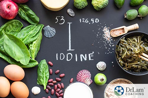 An image shows various iodine food sources