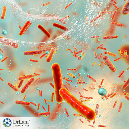 An image of Microorganisms