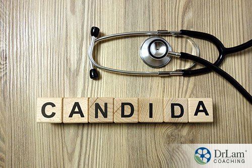 Word candida as one of the prescribed diets
