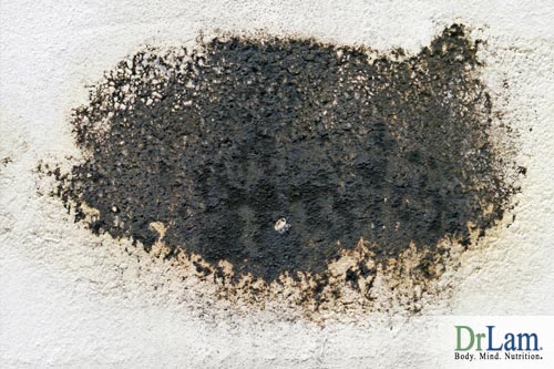 Exposure to mold can cause mold toxicity symptoms