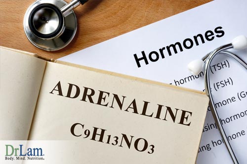 Adrenal Fatigue forces the body into maintenance mode where it struggles to maintain balance