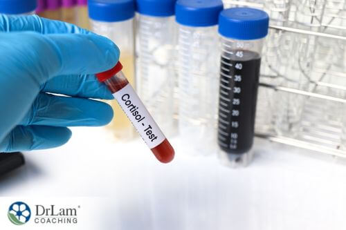 An image of a cortisol blood test tube