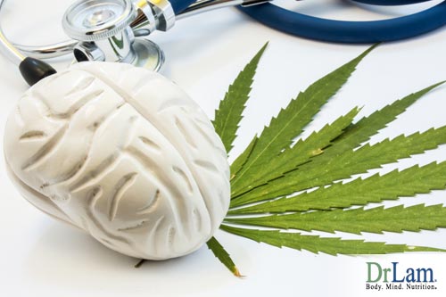 marijuana effects on the brain and the impact over time