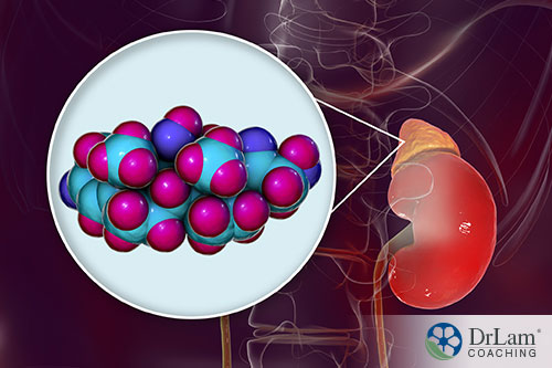 An image of the kidney and adrenal gland with a close up image of a cortisol molecule
