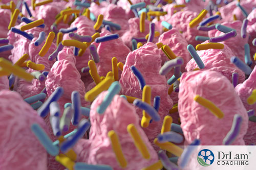 An image of microbiome in the gut