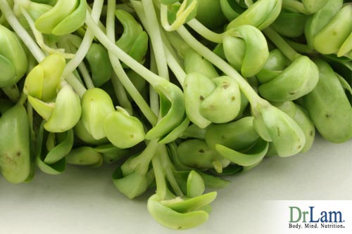 Closeup of sprouts, one of many vegetables that contains glucaraic acid that Calcium D-glucarate breaks down into