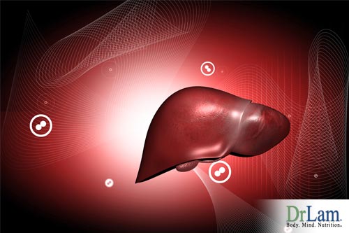 The liver, which elimates excess estrogen, is assisted in this task by Calcium D-glucarate