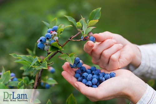 Blueberry benefits can reverse damages to the body