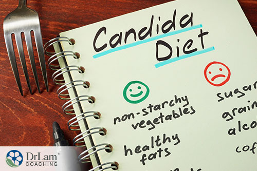 notebook with list of proper diet notes for candida diet
