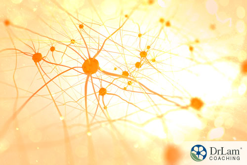 An image of nervous system receptors