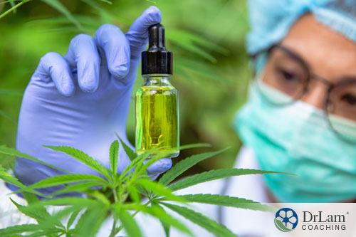 An image of a researcher examining a bottle of CBD oil