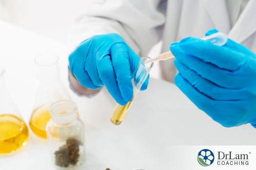 An image of a lab tech researching a proper dose of cannabis oil