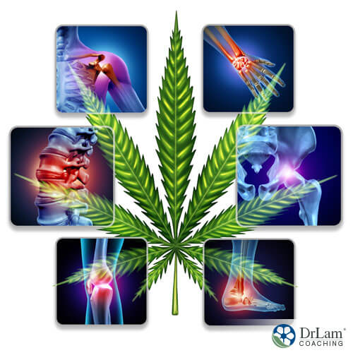 An image of a cannabis leaf and images of joint pain