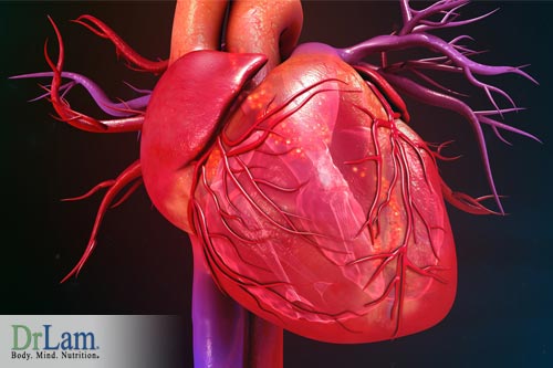 Understanding high cholesterol and cardiovascular disease