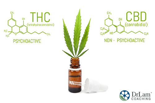 An diagram of THC and CBD components with a bottle of oil between them