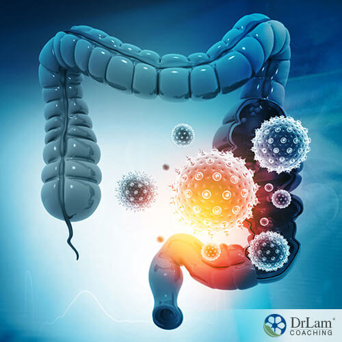 An image of the large intestine and microbiome