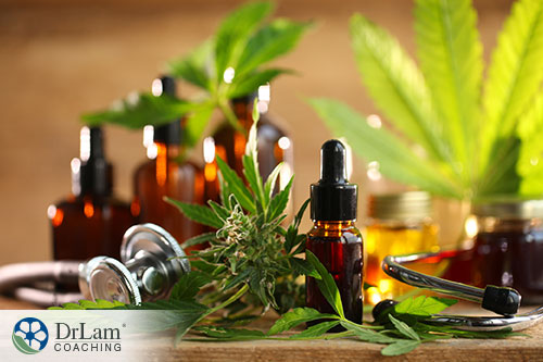 An image of cannabis flower, leaves and oil with a stethoscope