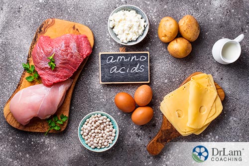An image of amino acid rich foods