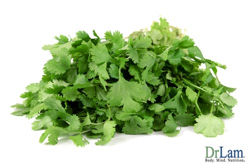 Heavy metal poisoning detox can be aided by Cilantro