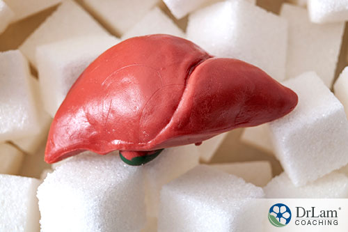 An image of a liver on a pile of sugar cubes