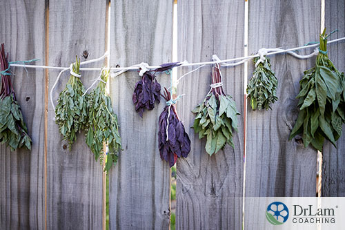 An image of different types of basil tied to a string along a wood fence to dry