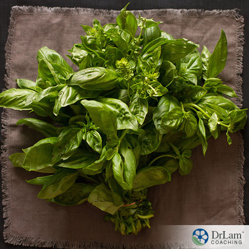 An image of a cut bunch of fresh green basil laying on a brown cloth