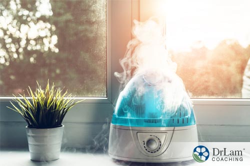 An image of a humidifier next to a house plant