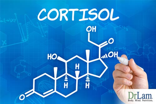 Adrenal Fatigue and cortisol are intrinsically linked to one another