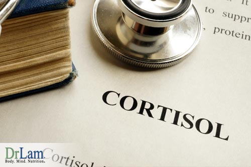 The affects of cortisol on the cardionomic circuit
