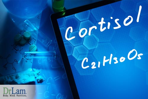 Cortisol, a neurotransmitters function