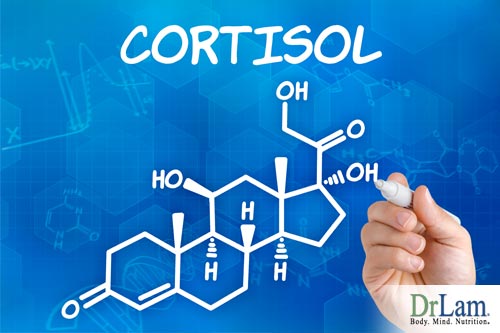 Adrenal Fatigue, low thyroid gland function and testing Cortisol and DHEA