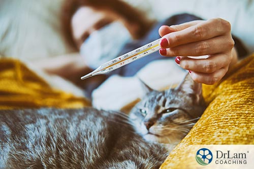 An image of a woman laying in bed with her cat holding a thermometer showing she has a fever