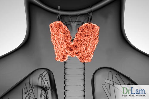 An image of a thyroid gland