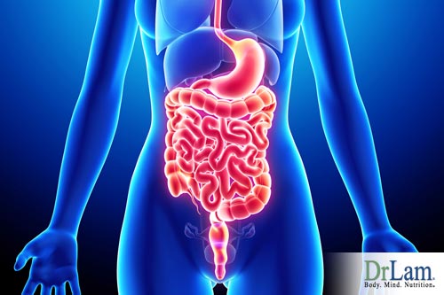 Digestion supplements for Adrenal Fatigue and natural anxiety relief