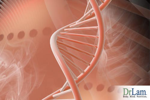 Your DNA shows what steps to take with an Anti-Aging program combating biological aging